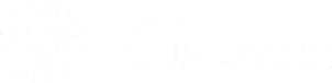 logo fundación ford